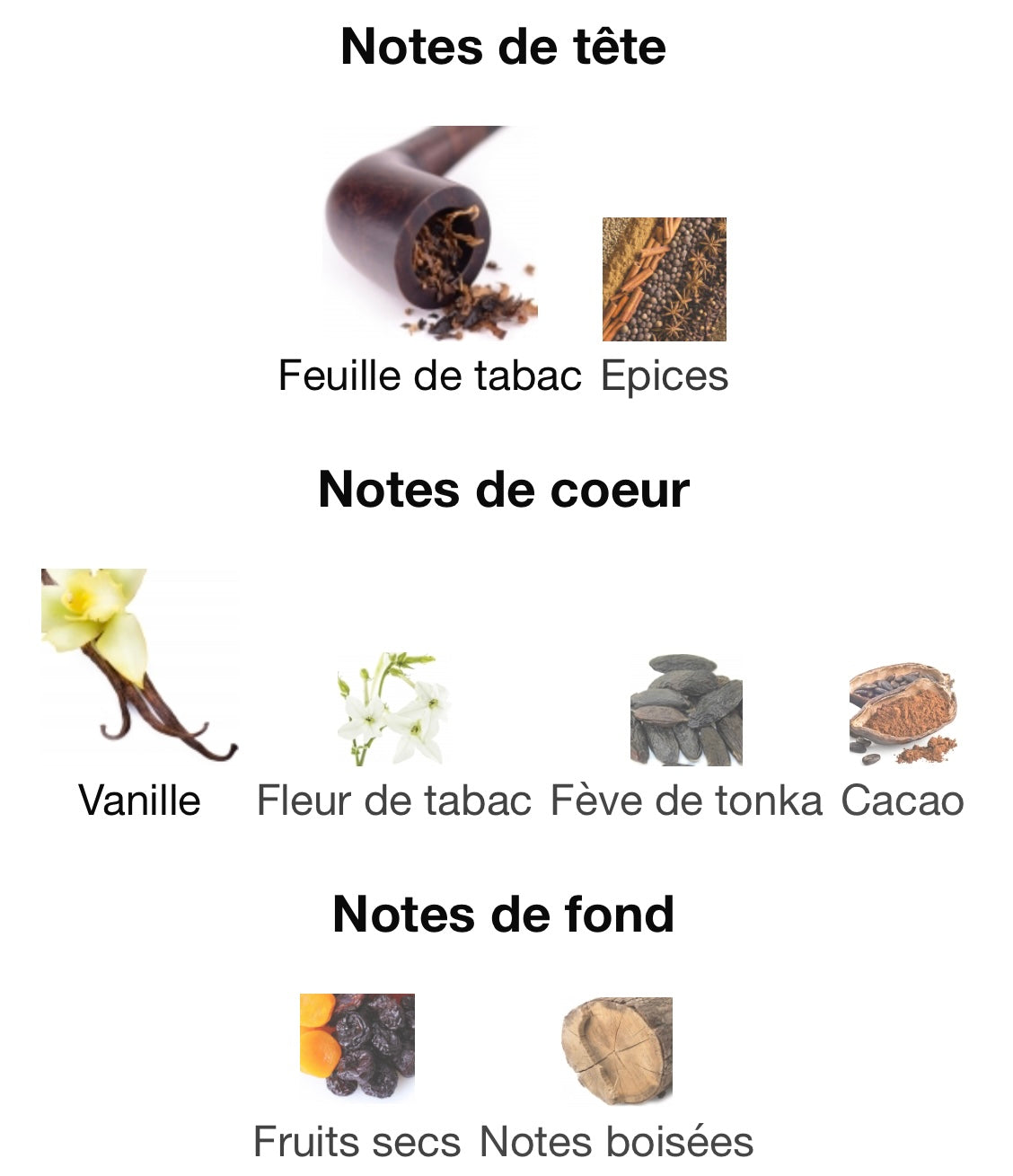 Charuto Tobacco Vanille
