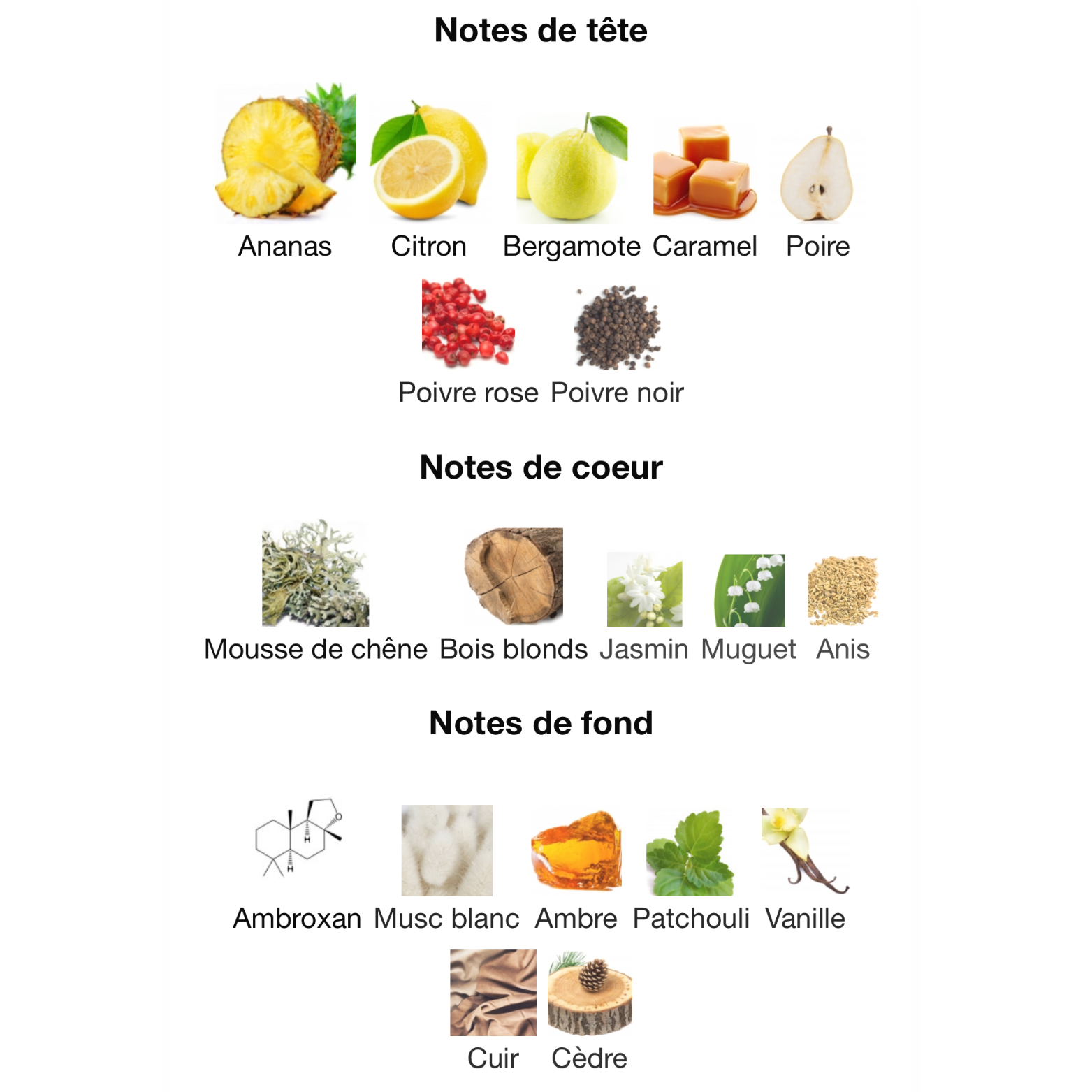 Club de nuit precieux