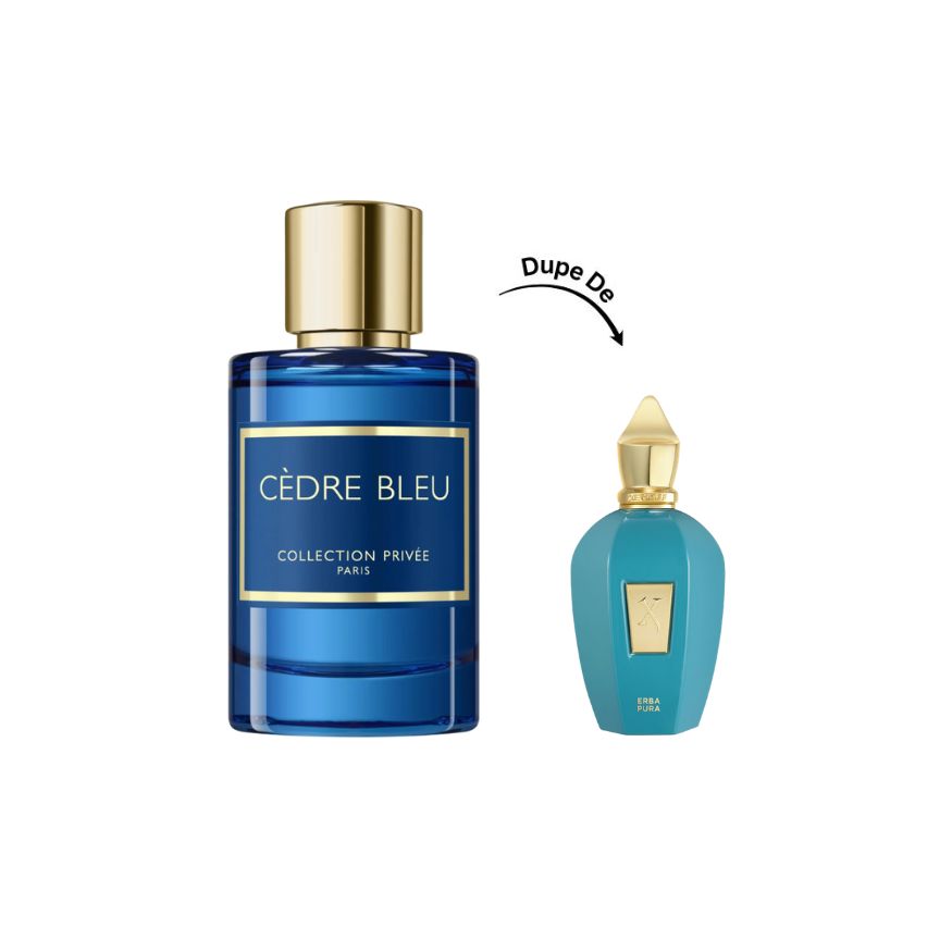Cèdre Bleu Collection Privée Paris