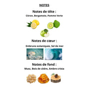 l'absolu