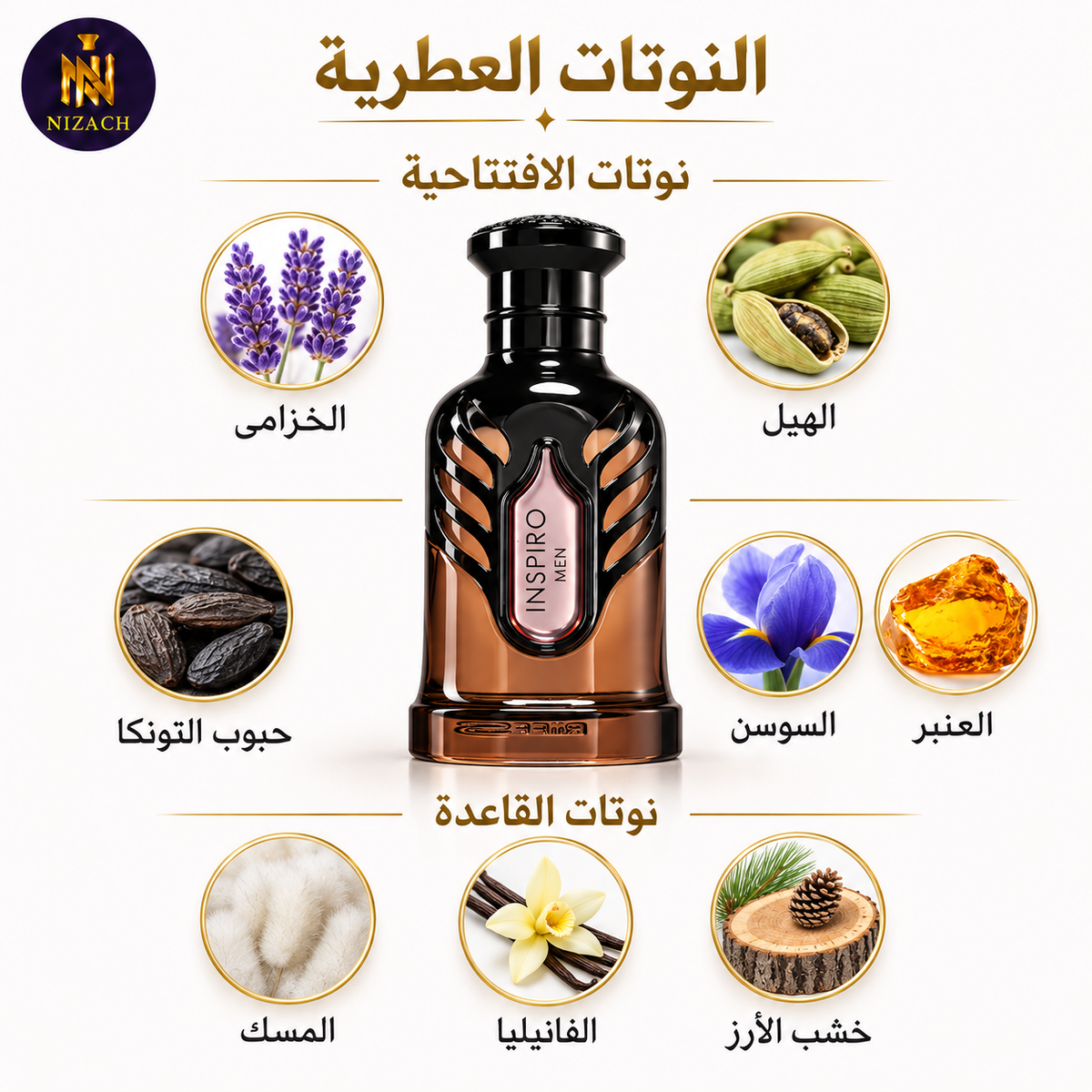     النوتات العطرية لعطر Inspiro Men: الخزامى والهيل والفانيليا