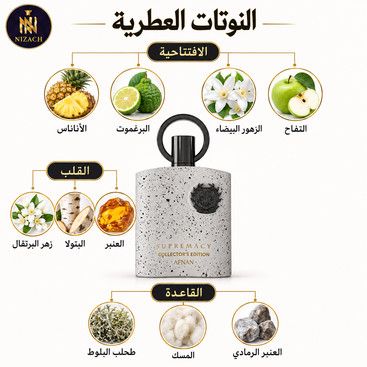     Supremacy Collector’s Edition Afnan  النوتات العطرية 