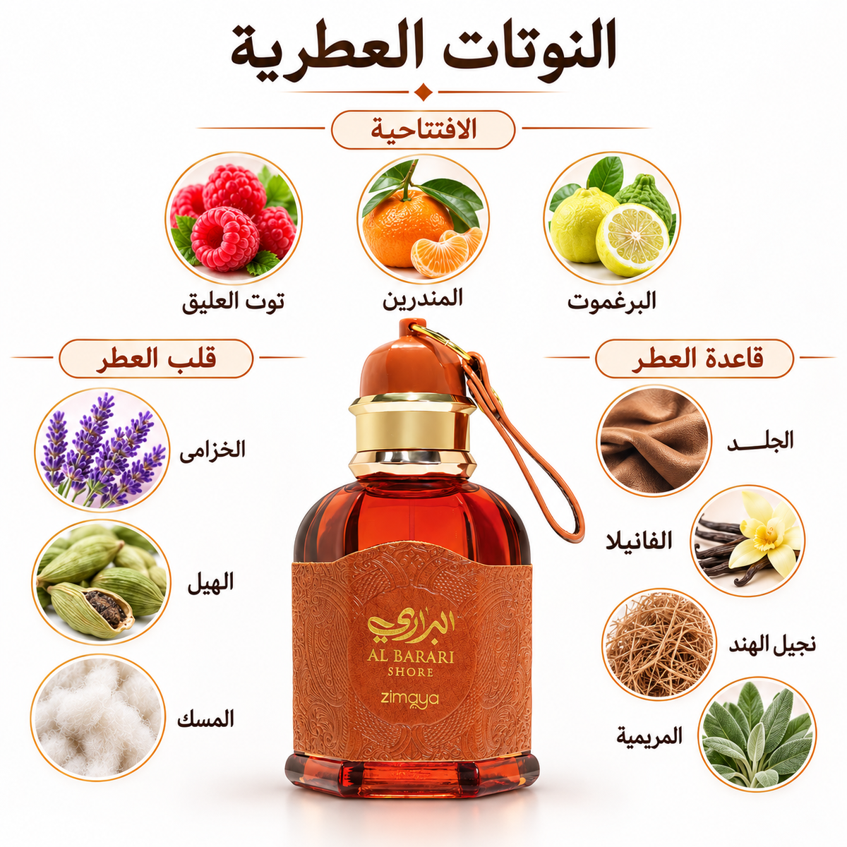 Al Barari Shore Zimaya 100ml – بديل Azzaro Forever Wanted Elixir